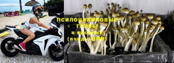 кокаин VHQ Заводоуковск