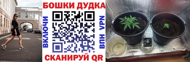 Купить где  Краснотурьинск  Каннабис VHQ 